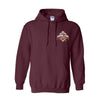 Hoodies Puma Cup
