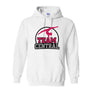 Hoodies Team Central Spirit Wear
