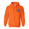 Hoodies NA Frozen Cup