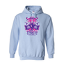 Hoodies AAU Pirates and Parrots