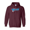 Hoodies South Carolina State Championships