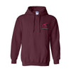 Hoodies Team Central Spirit Wear