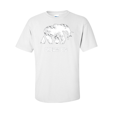 T-Shirts Dream Big